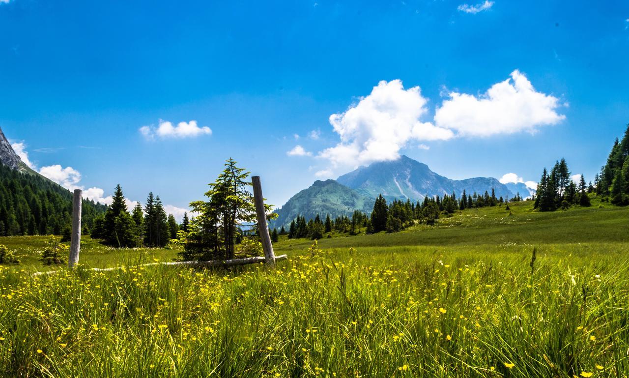 Residence Cavanis Wellness & Spa Сапада Екстериор снимка